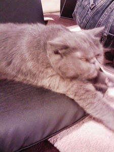 110129_190126.jpg