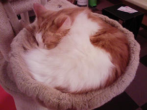 110129_182406_ed.jpg