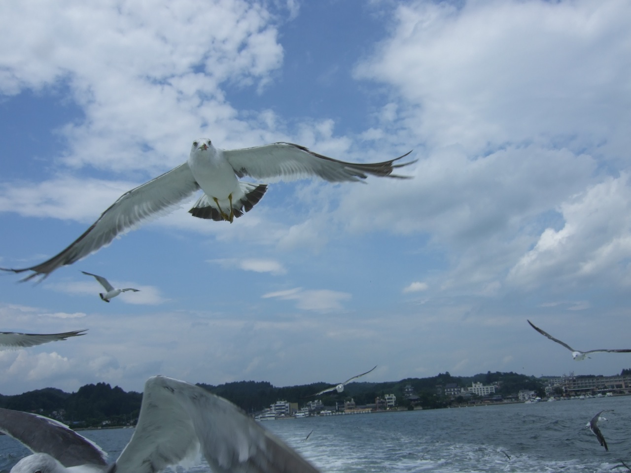 DSCF1278.jpg