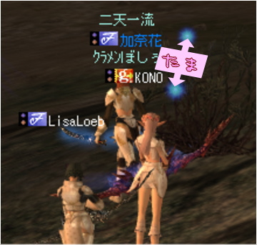 体験しれのす②