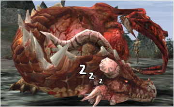 パイラカリベ①