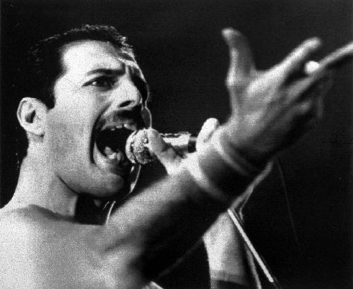 freddie.jpg