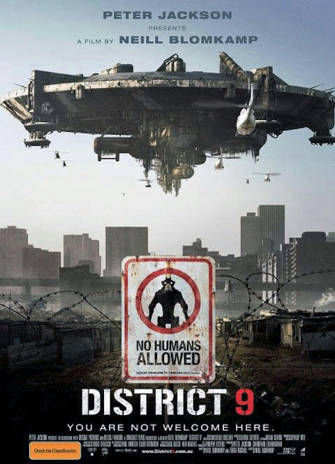 d9.jpg