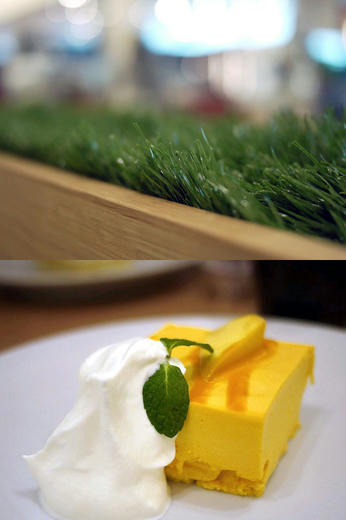 shibacafe.jpg