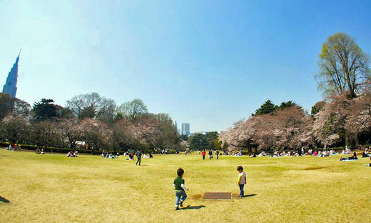gyoen.jpg