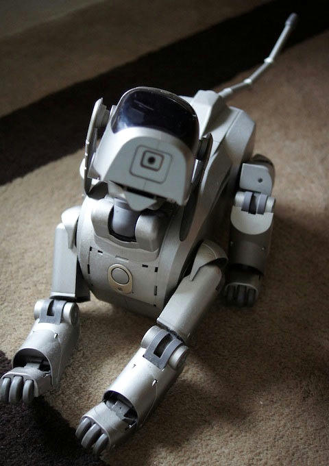 aibo.jpg
