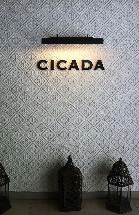 cicada.jpg