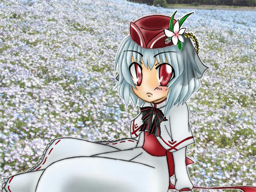 remi04.jpg