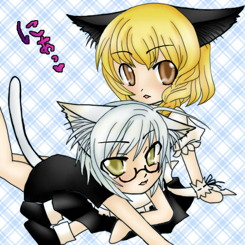 korimari01.jpg