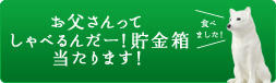 20080701_summer_can.jpg