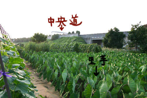 6103eeb7.jpg