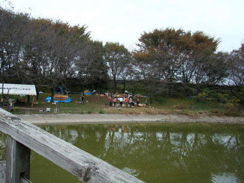 f0f0384c.jpg