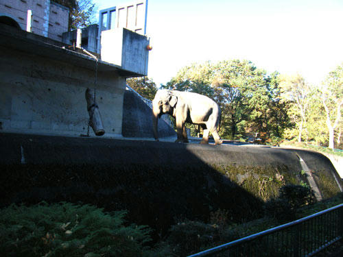 b50f041b.jpg