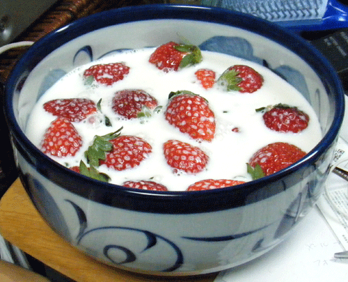 fb782c7c.gif