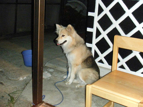010.jpg