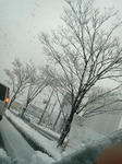 200803071450000.jpg