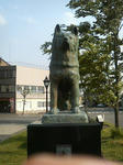 200805221540000.jpg