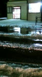 20081105174530.jpg