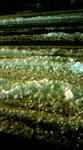 20081105174721.jpg