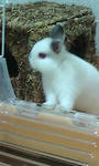 20090201222238.jpg