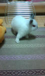 20090201221058.jpg
