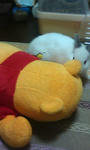 20090201221337.jpg