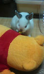20090201221402.jpg