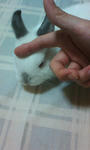 20090201225154.jpg