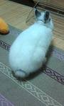 20090201222331.jpg