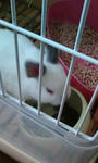 20090203153612.jpg