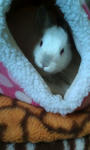 20090321154505.jpg