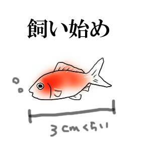 小さかった
