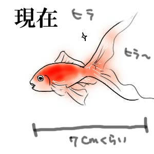 こんなになっちゃいました