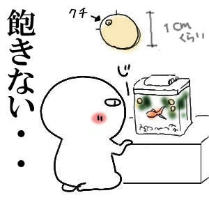 目が離せないｗ