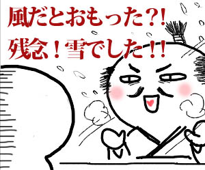 20121127d.jpg