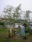 b1321938.jpg