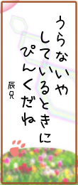 haiku_0627.png