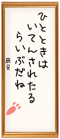 142638.png