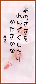 144697.png