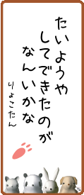 162161.png