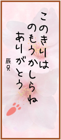 167210.png