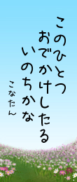 256252.png