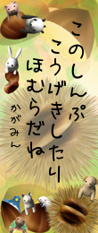 337614.png