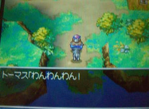 toruneko11.JPG