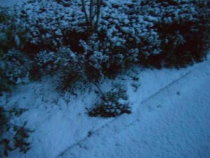 snow.JPG