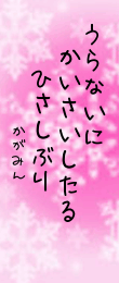 456286.png