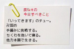 tatsune33.png