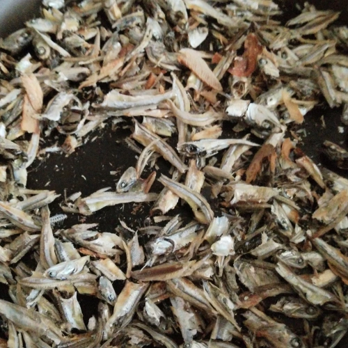 ズボラ主婦の自家製だし粉　煮干しの乾煎り