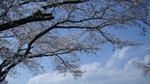 2008_03260017-2.jpg