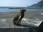 2008_04030053.jpg